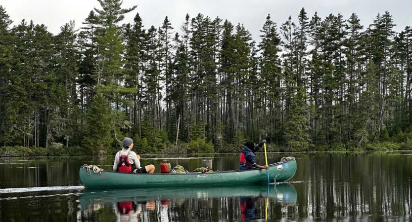 Two people wearing life jackets paddle a canoe on still water. On the shore behind them there are evergreen trees. 